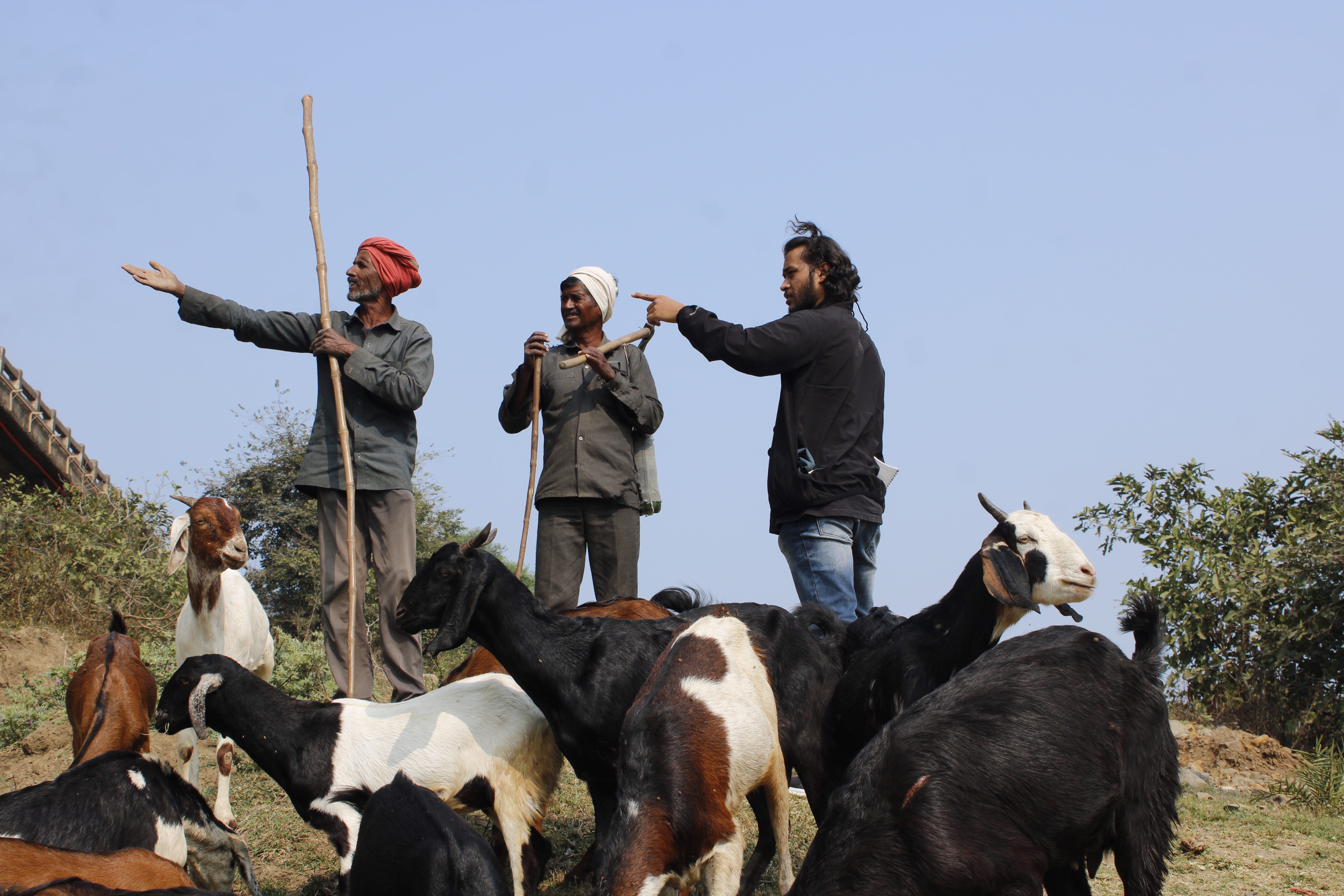 BPCL - Bina Biodiversity Study 7