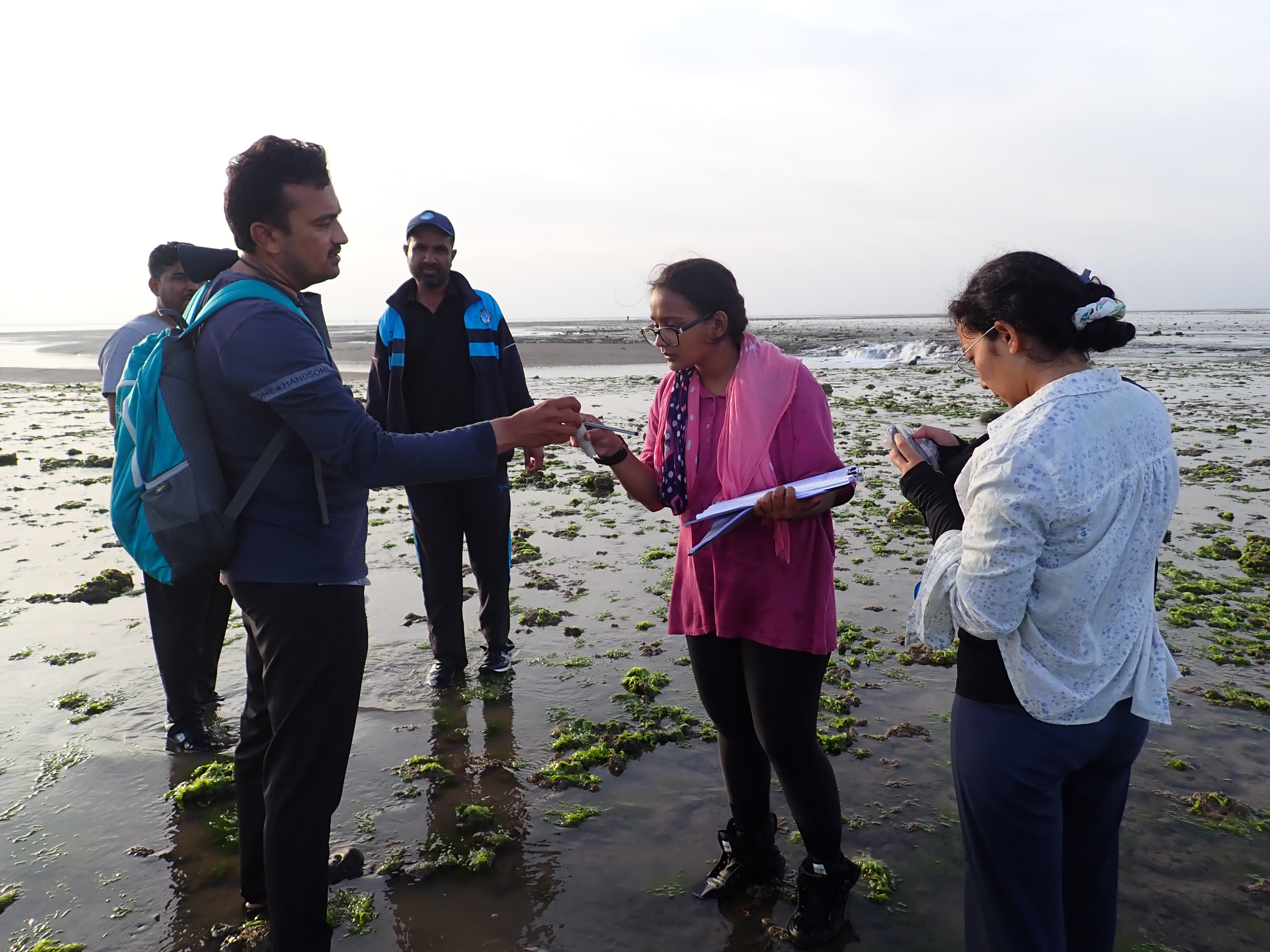 GFRF - Coral Health & Resilience at MNP 4
