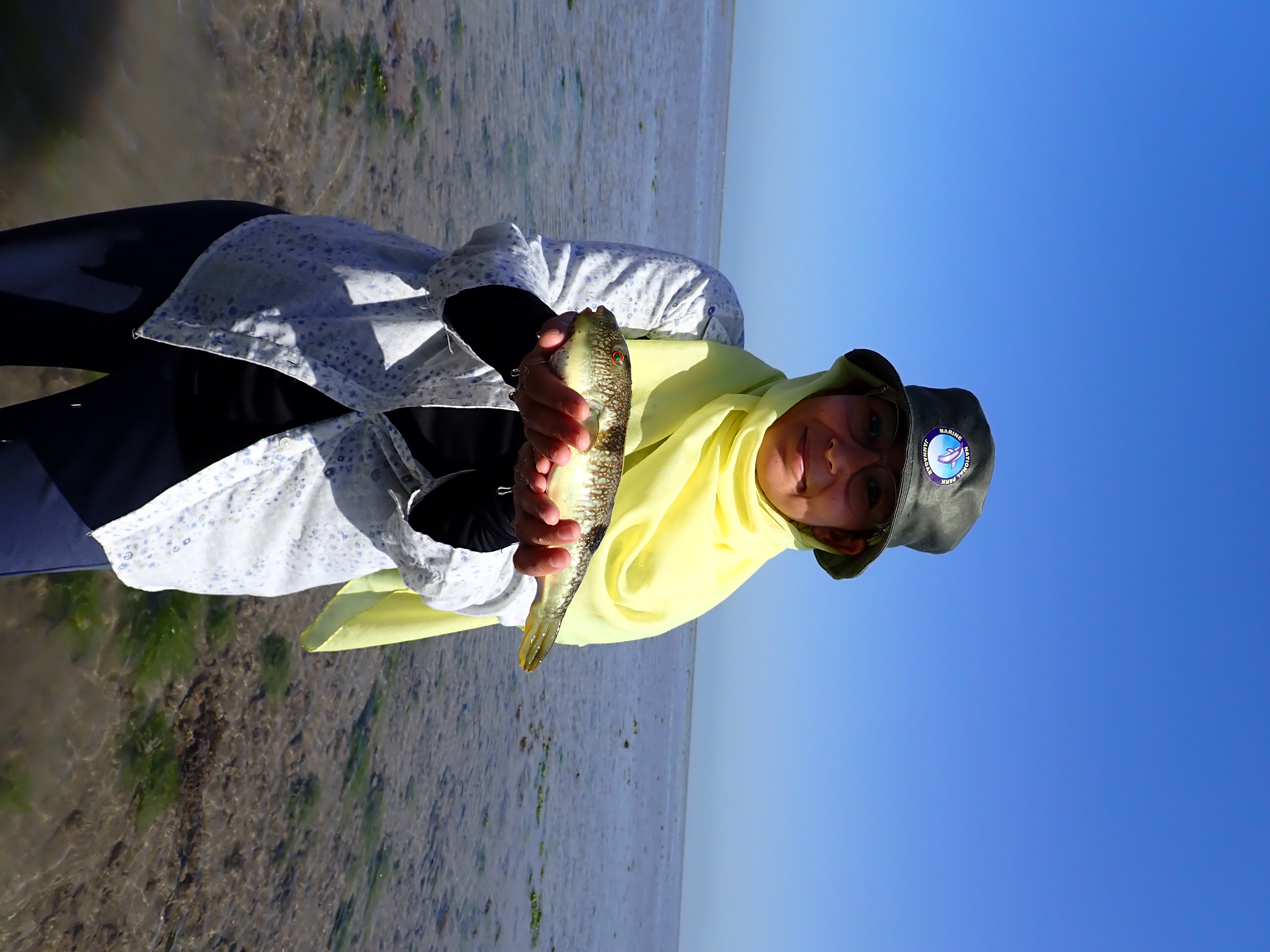 GFRF - Coral Health & Resilience at MNP 6