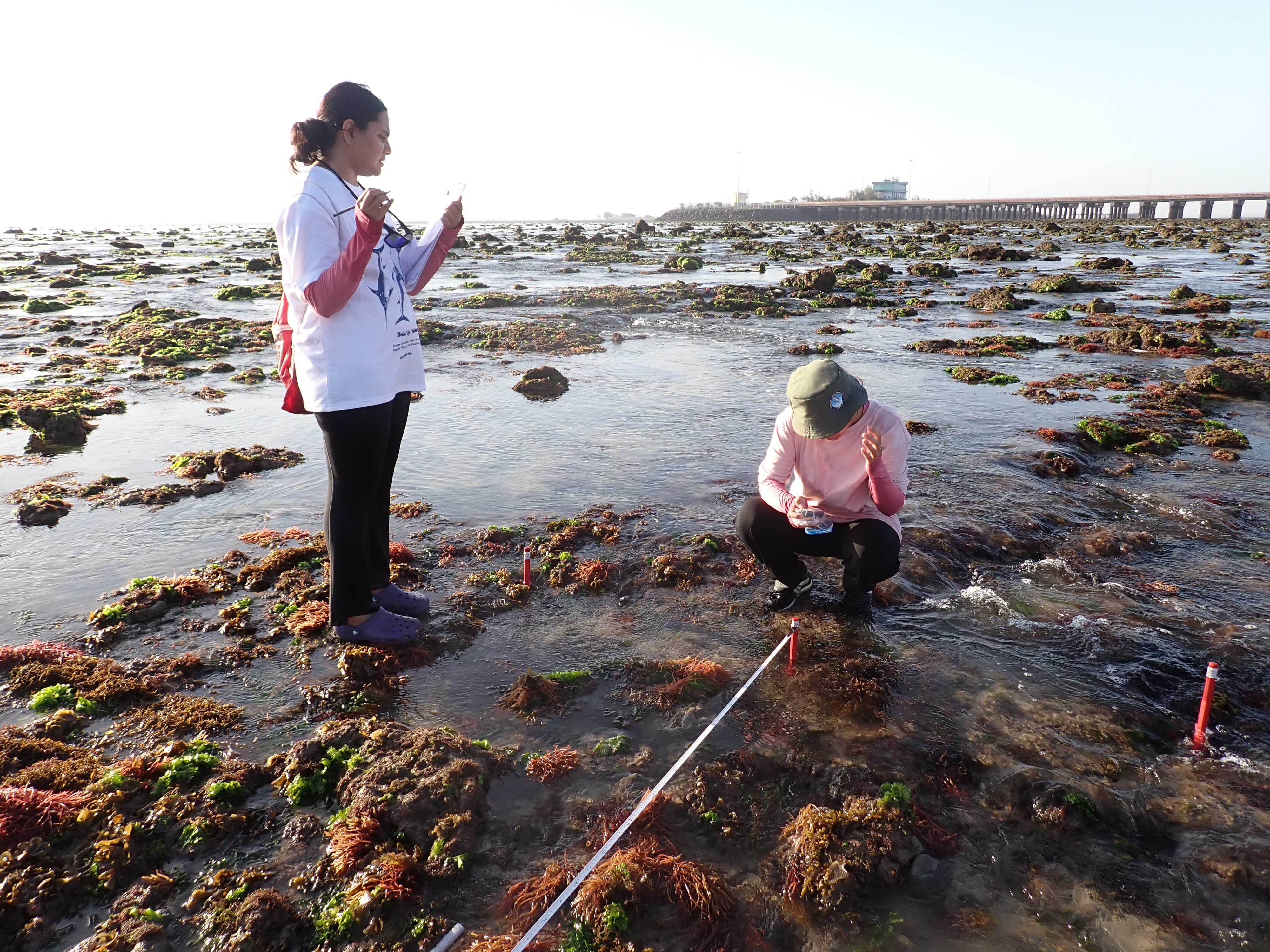 GFRF - Coral Health & Resilience at MNP 7