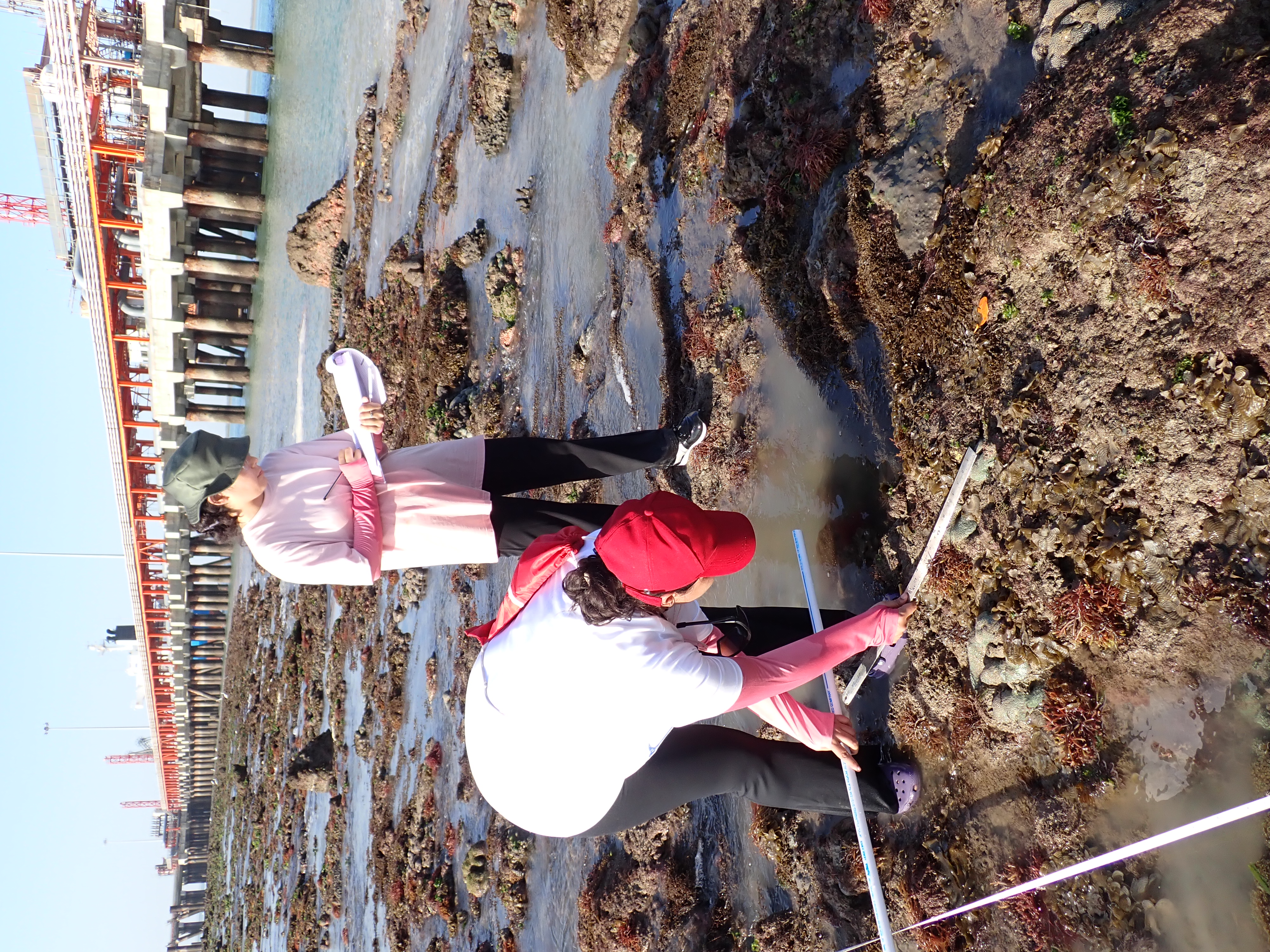 GFRF - Coral Health & Resilience at MNP 8