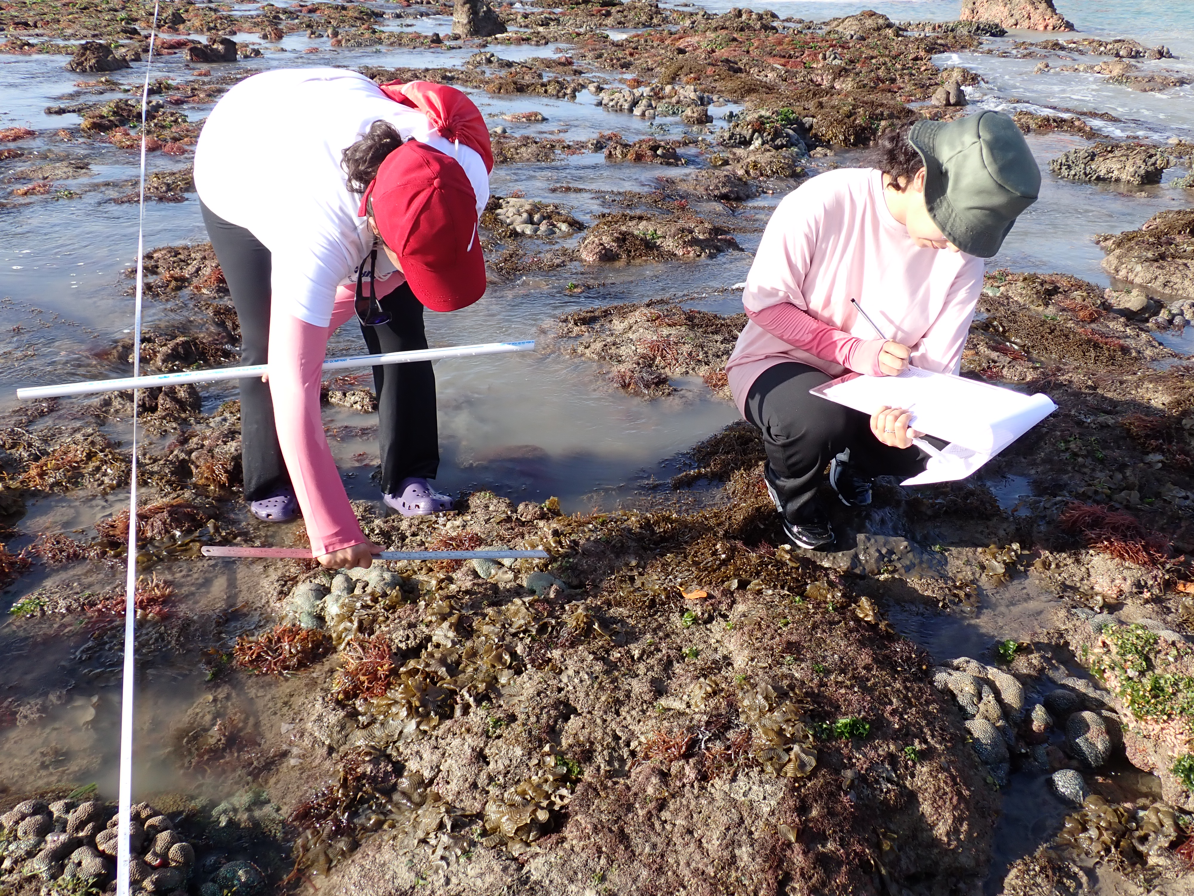 GFRF - Coral Health & Resilience at MNP 9
