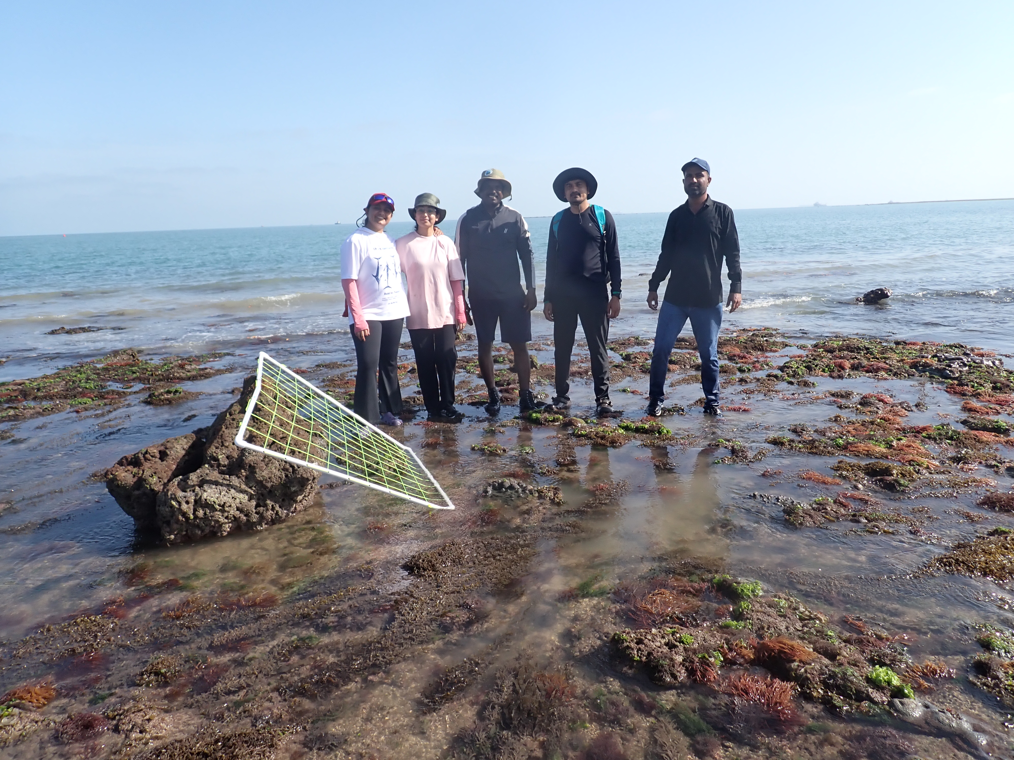 GFRF - Coral Health & Resilience at MNP 11