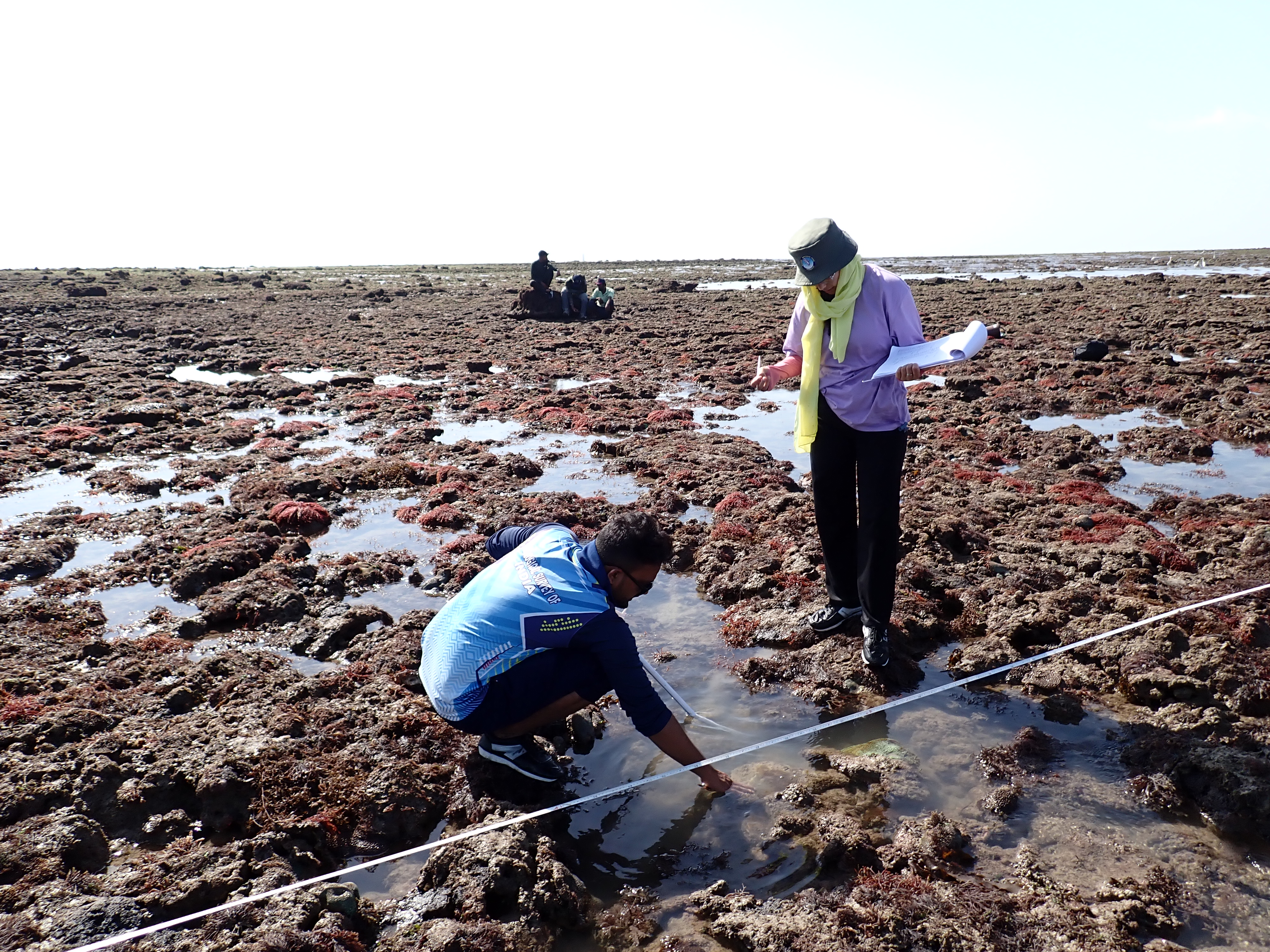GFRF - Coral Health & Resilience at MNP 19
