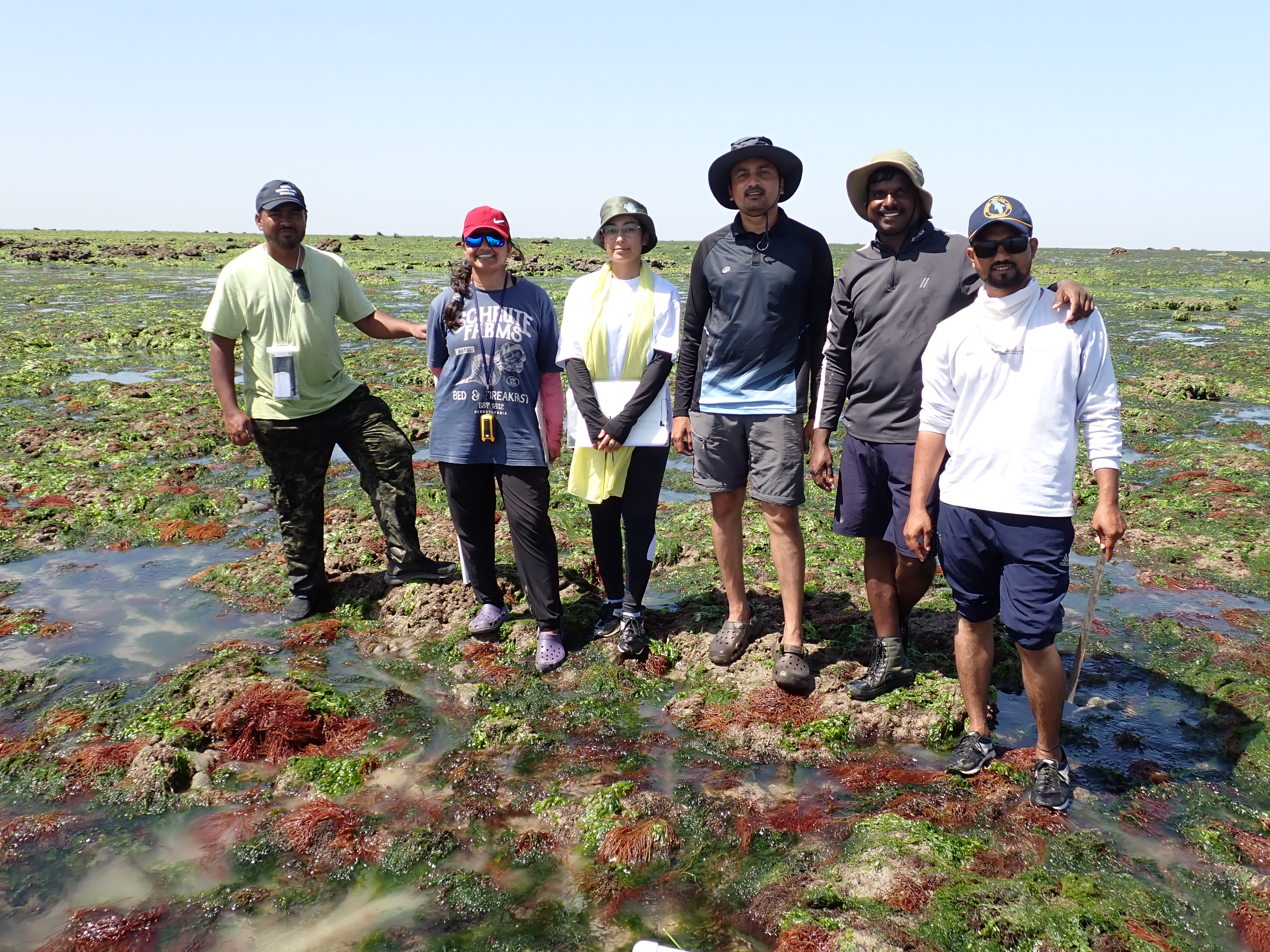 GFRF - Coral Health & Resilience at MNP 31