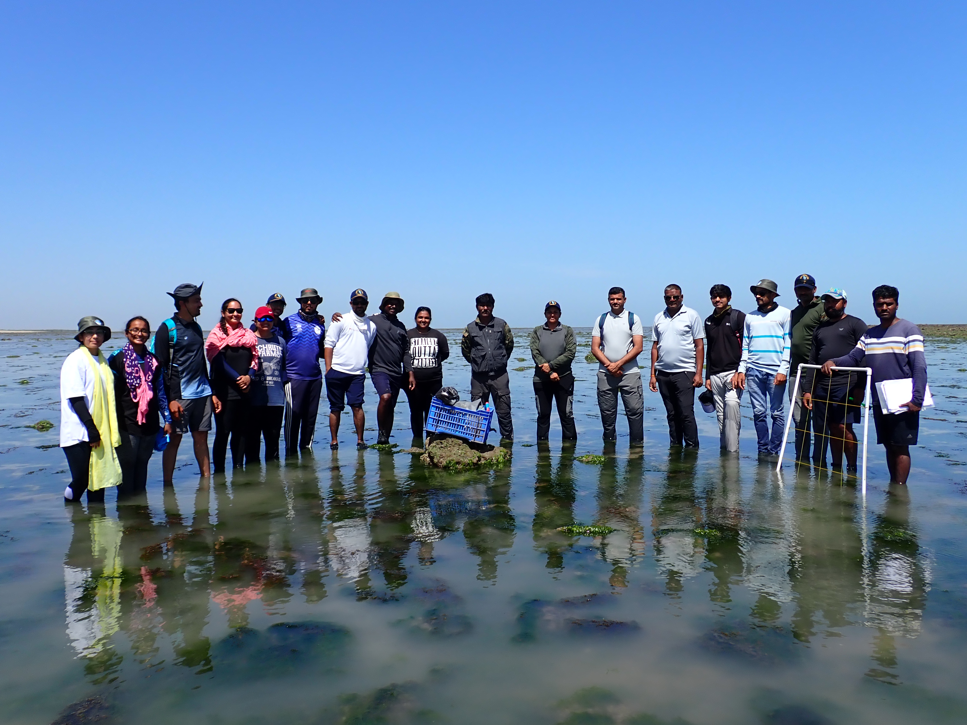 GFRF - Coral Health & Resilience at MNP 33