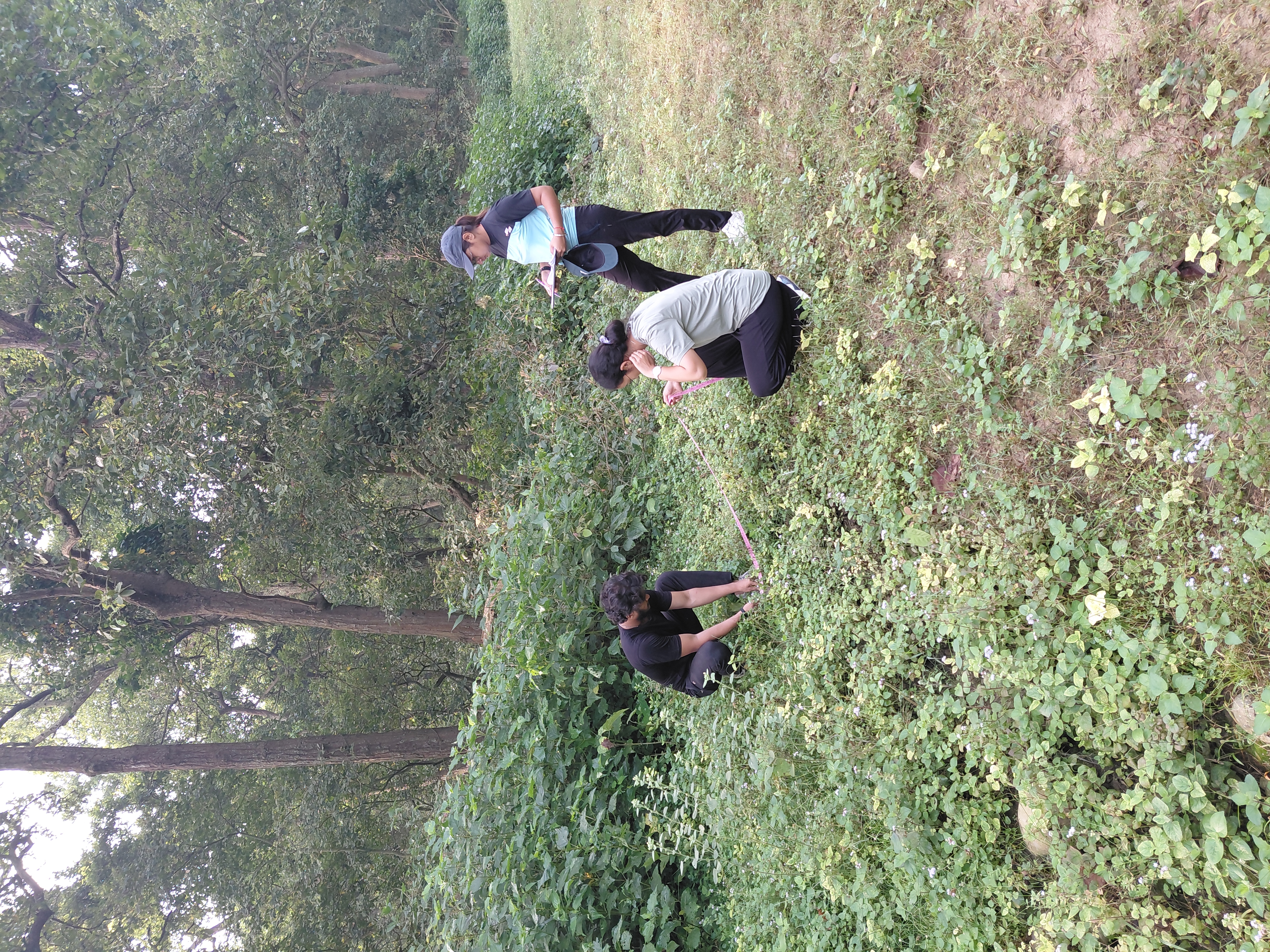 Haryana Forest Department - ZMP 2