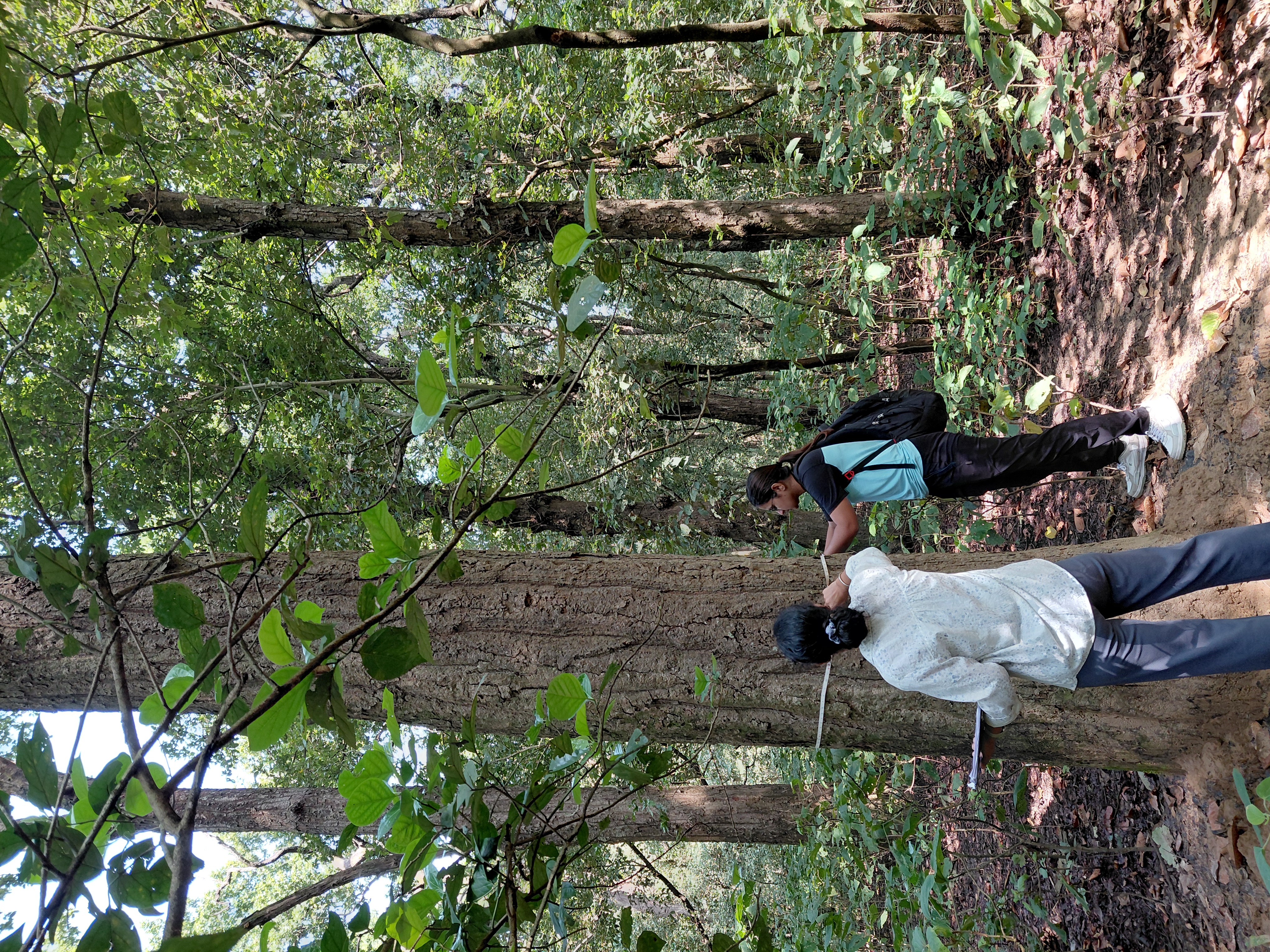 Haryana Forest Department - ZMP 3