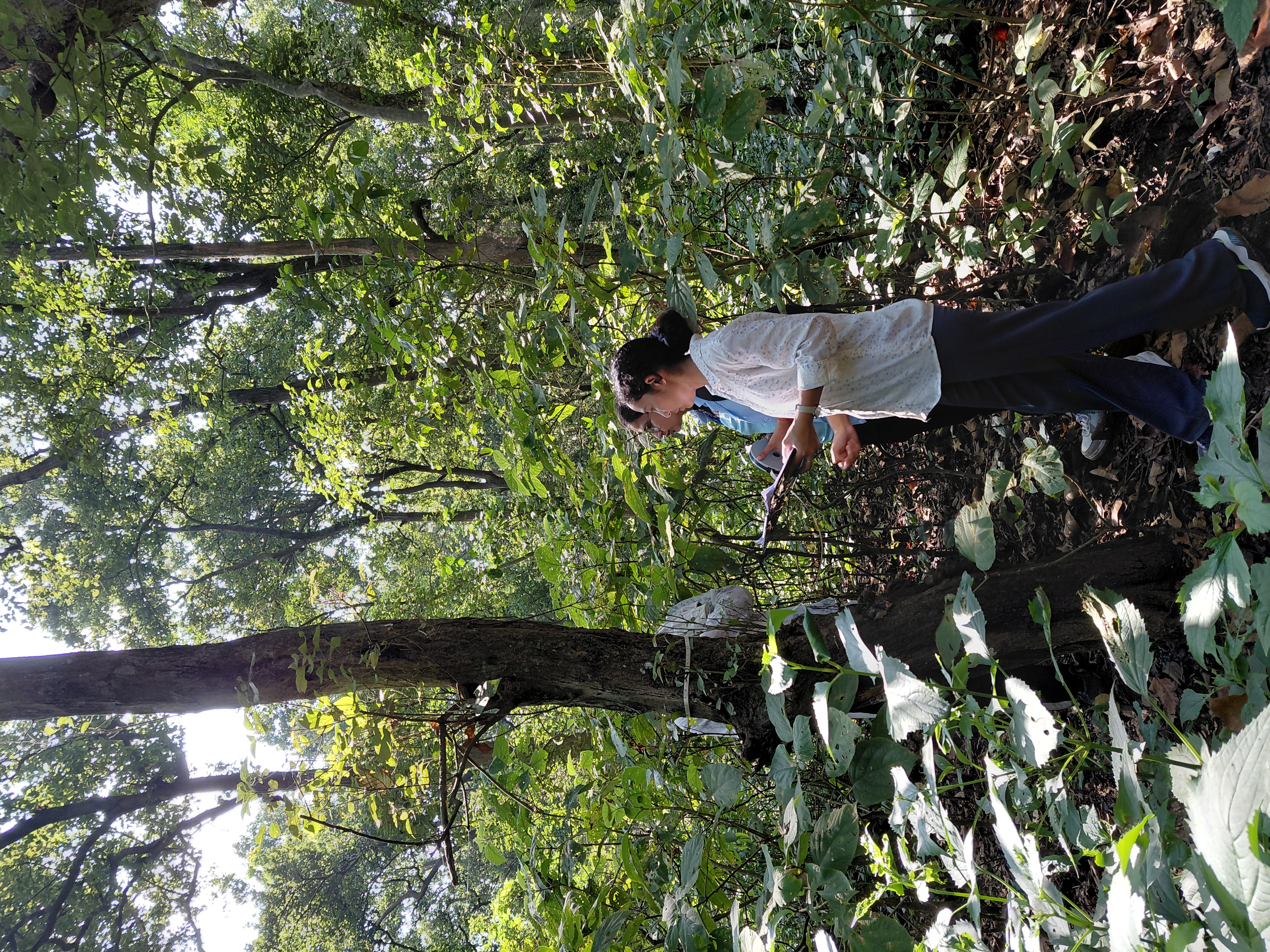 Haryana Forest Department - ZMP 4