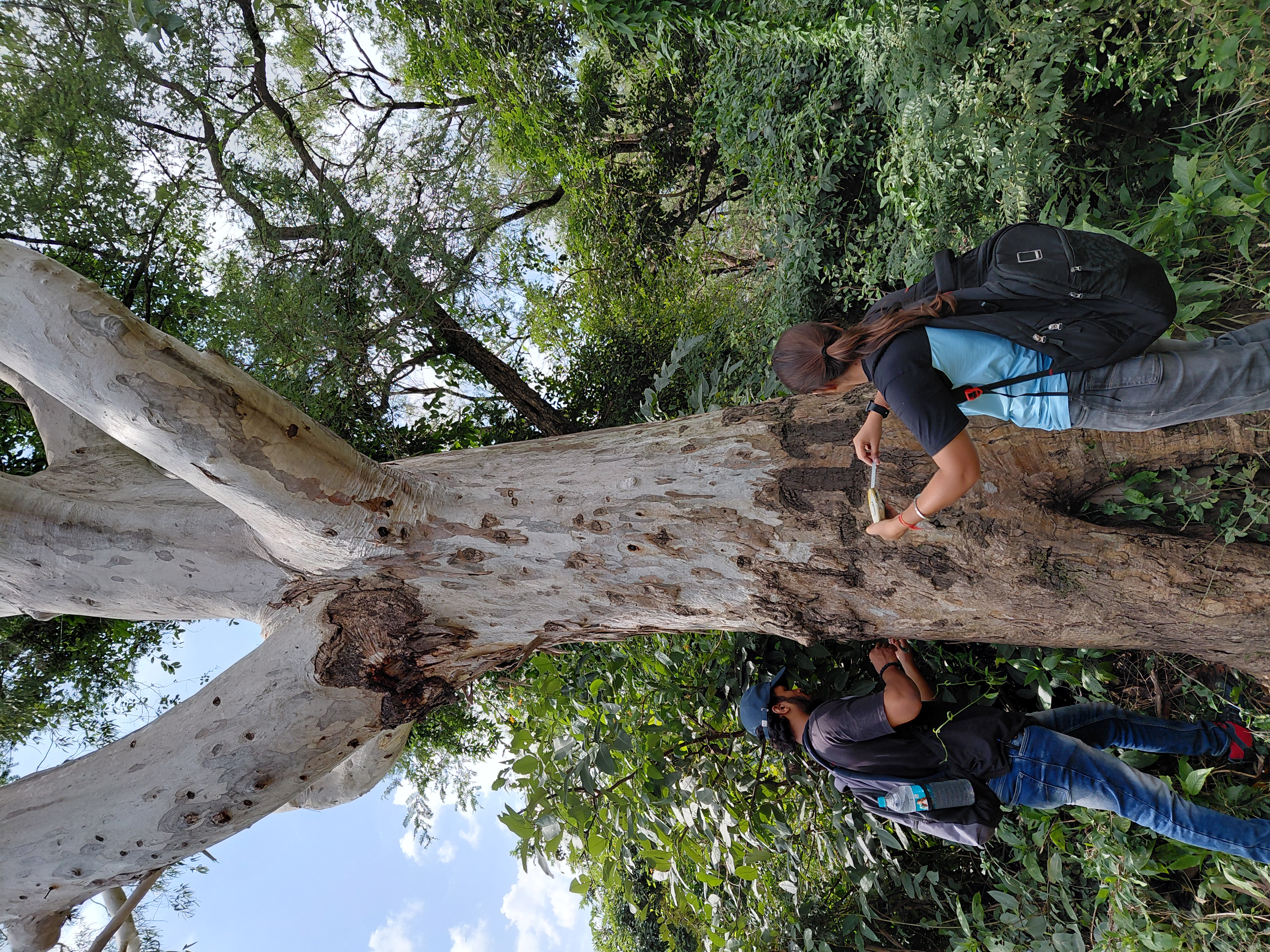 Haryana Forest Department - ZMP 6