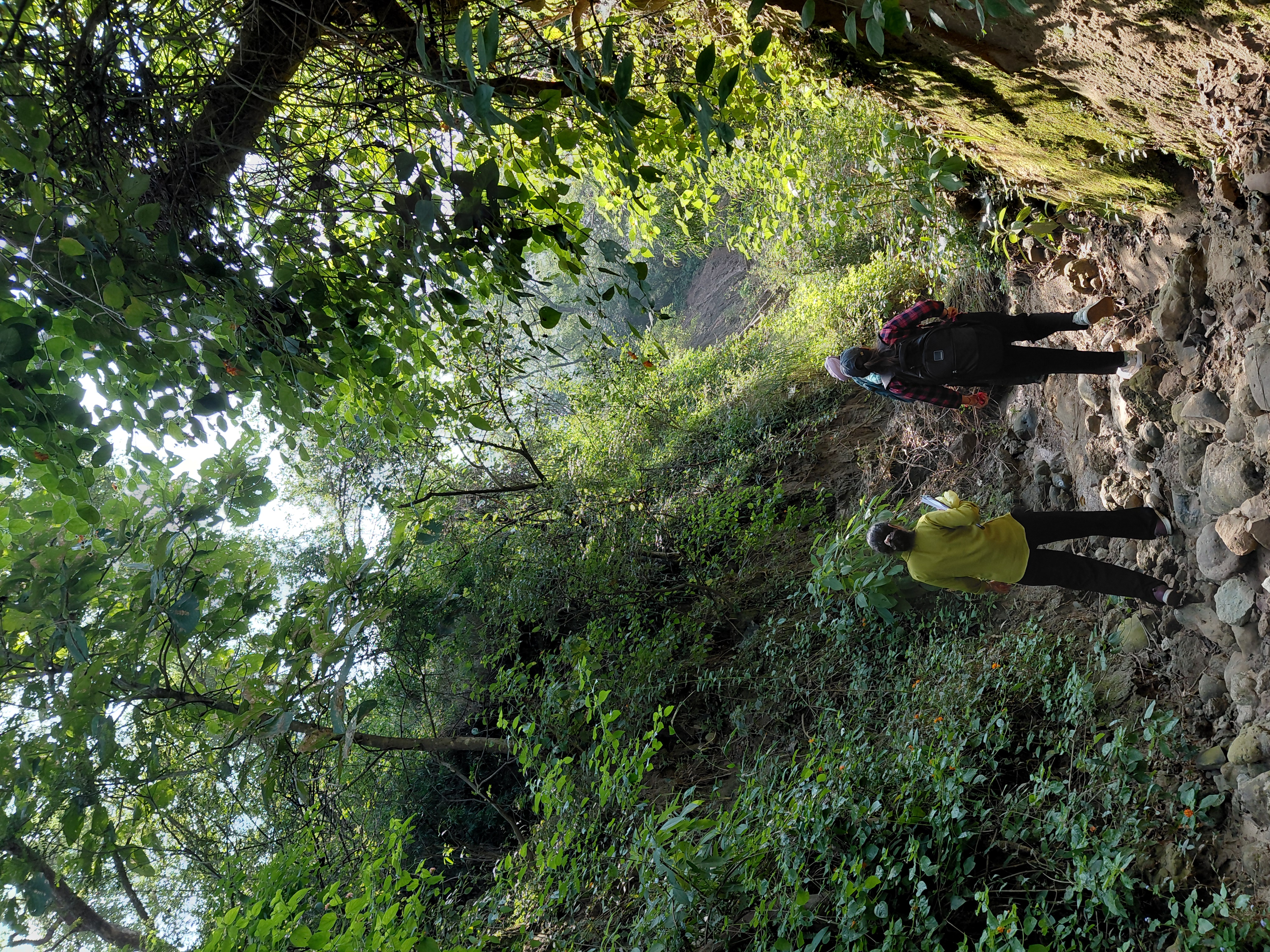 Haryana Forest Department - ZMP 7