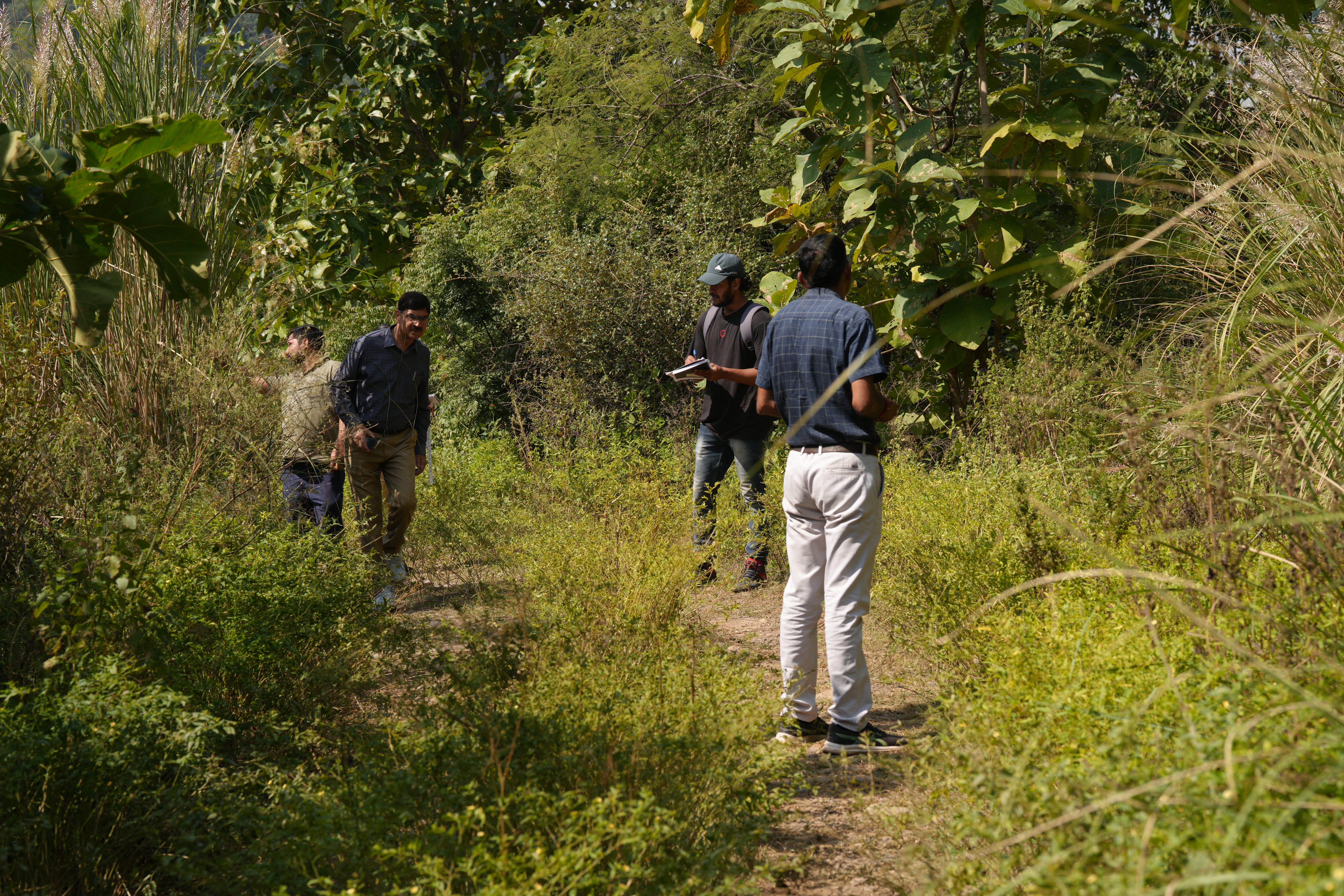 Haryana Forest Department - ZMP 12
