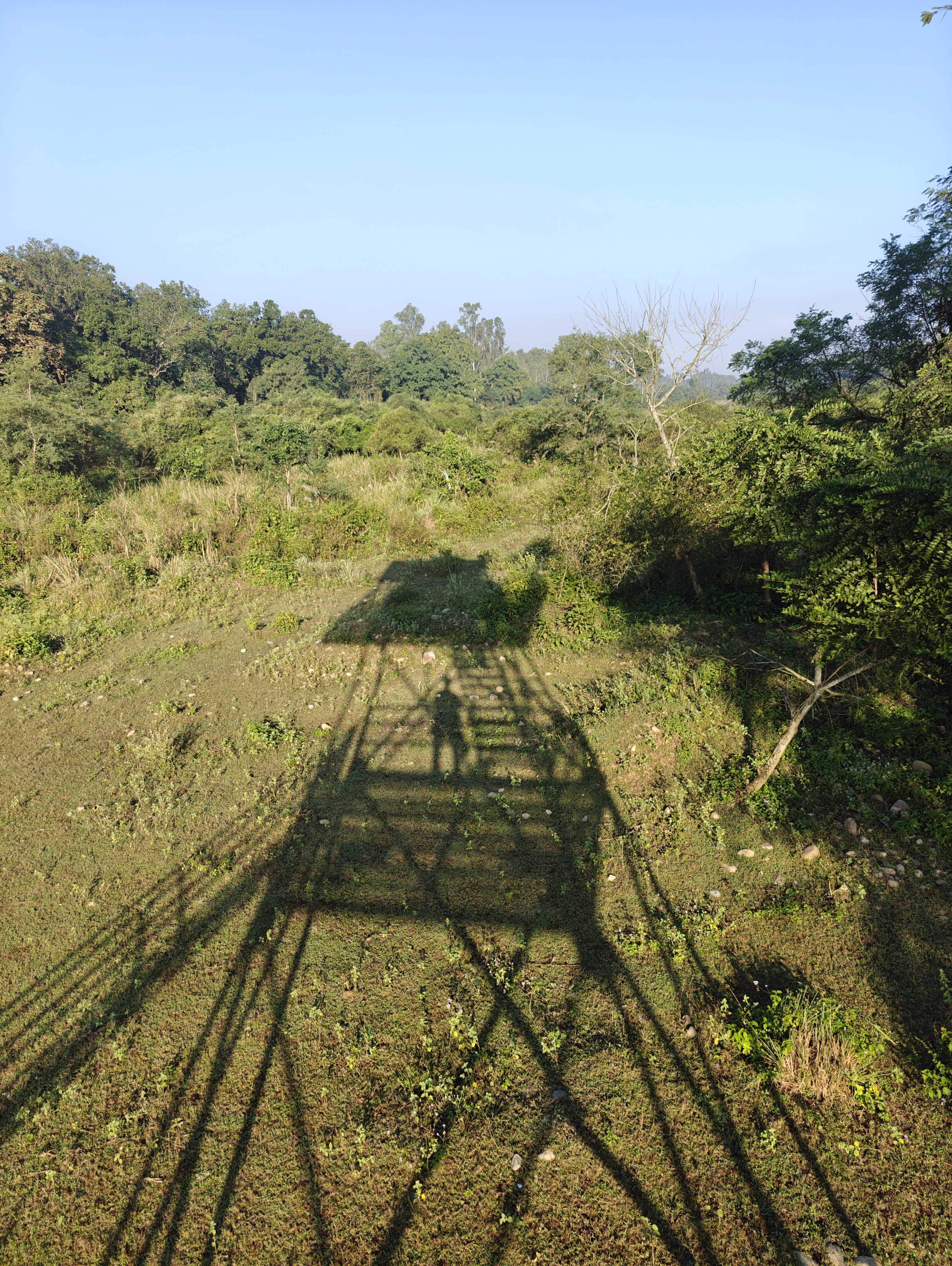 Haryana Forest Department - ZMP 26